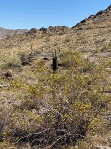 Phoenix Mountain Preserve