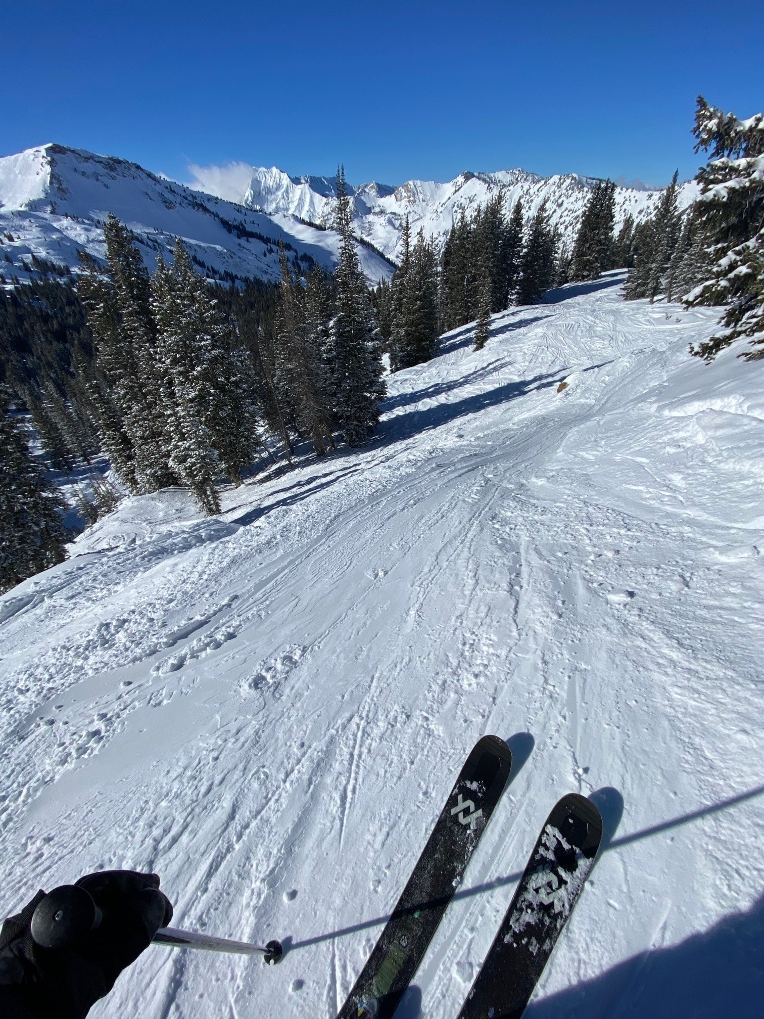 Section 45 Proceedings - Canada